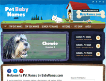 Tablet Screenshot of petbabynames.com